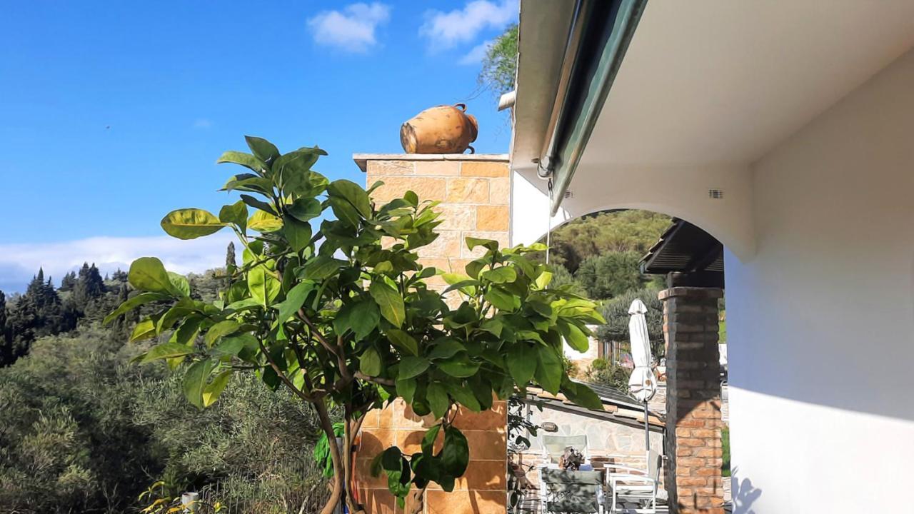 Villa Claire Corfu Achilleion Экстерьер фото